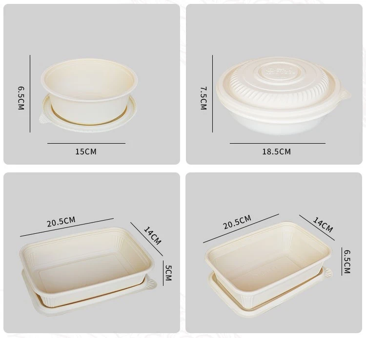 Eco - Friendly Sugarcane Disposable Plates Paper Lunch Tray