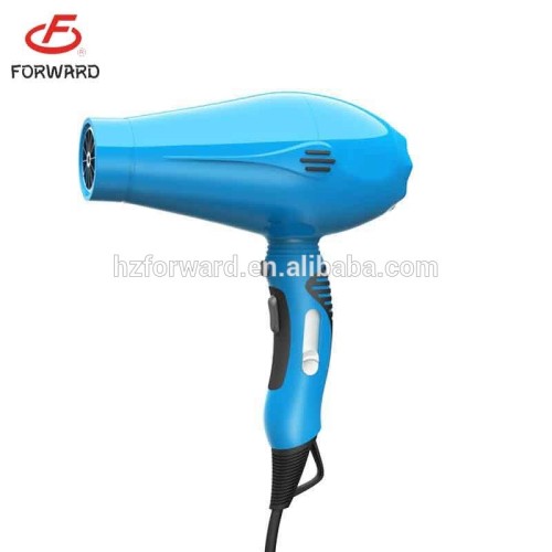 mini hair dryer for dogs