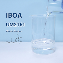 UM2161 IBOA Isobornyl Acrylate