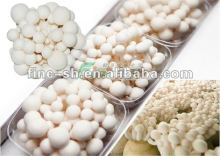 Shimeji-White beech mushrooms