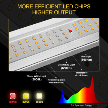 Luces de cultivo LED de alta eficacia de 640W
