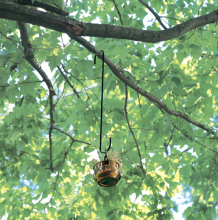 Forged Branch Hook black Deck Hanger Hook