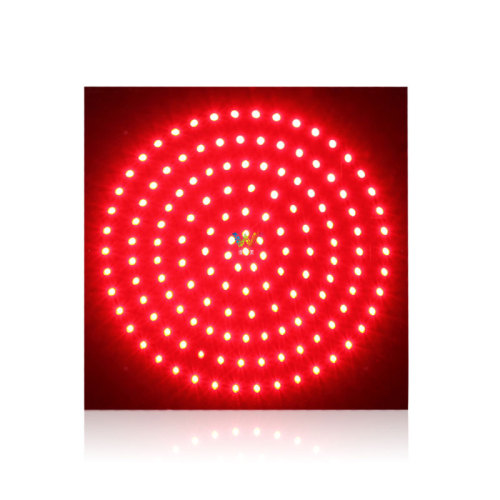 Multinational Warning 300mm PCB board traffic light lamp