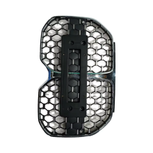 Original Car Grille for BMW 1 Series G22/G26