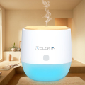 Lampu LED Listrik Cool Mist Nebulizer Scent Diffuser