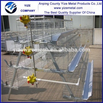 Hot sale poultry chicken cages/a type layer poultry cages