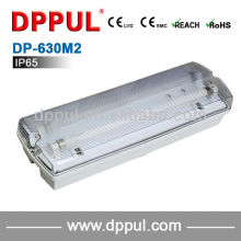 2016 Newest Embedded Ceiling Light DP630M2