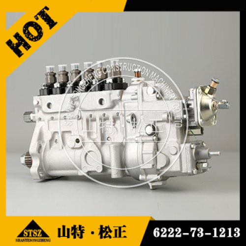 Komatsu Motor Dieselpumpe 6222-73-1213