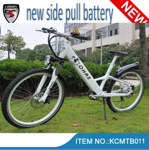 250W Green Power Electric Bicycle