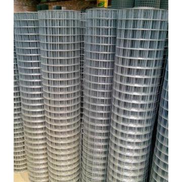 Bird Cage Stainless Steel Galvanized Welded Wire Mesh