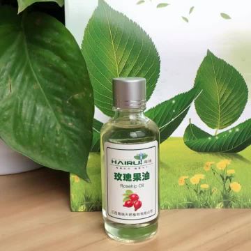 Supplier of Pure Rose hip seed oil
Rose hip oil storage