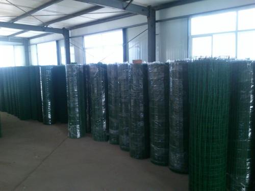 Holland wire Netting