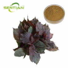 Free Sample Perilla Frutescens Extract Powder