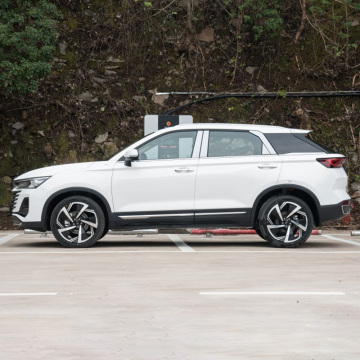 FAW Pentium 2023 1.5T automatic premium model