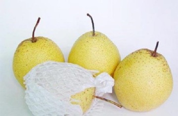 Provide Fresh Regular Snow Pear