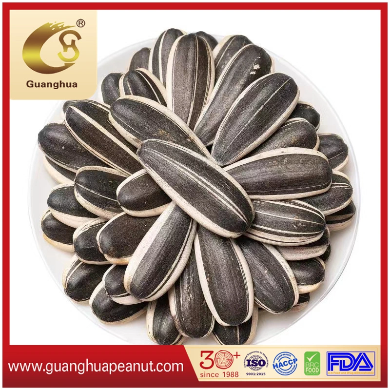 New Crop Sunflower Seeds for Exporting