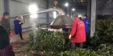 100% Pure Basic Essential Oil Gift Set 10ml