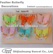Butterfly Supplies for Festivals