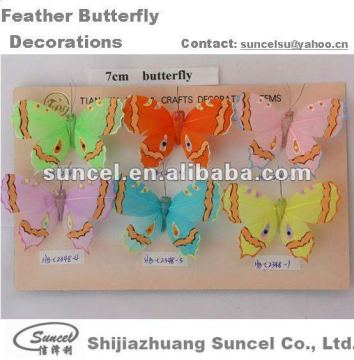 Butterfly Supplies for Festivals