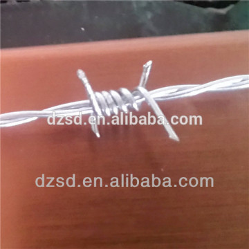 barbed wire (factory price)