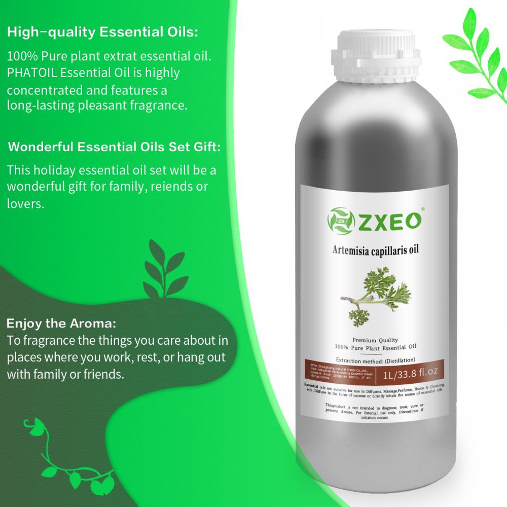 Kapillarartemisia WOMMOOD ETTIKERTE OIL 100% Reine Bio -natürliche Preis Artemisia Wormwood Öl