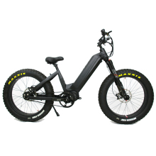 Gates Belt Electric Dirt Bike with Rohloff 14 Speeds 1000W Mid Drive EBike