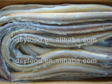 Frozen Conger Eel Fish