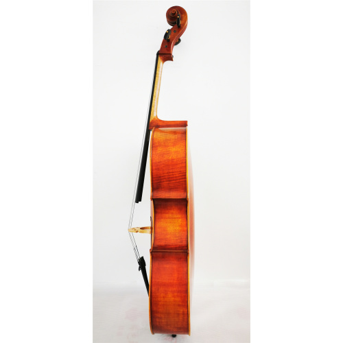 Popolare violoncello professionale fiammato