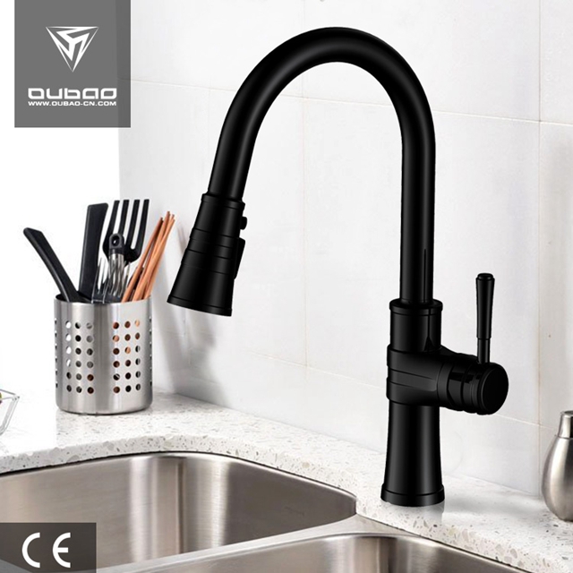 Pull Out Kitchen Faucet Repair Ob D69a