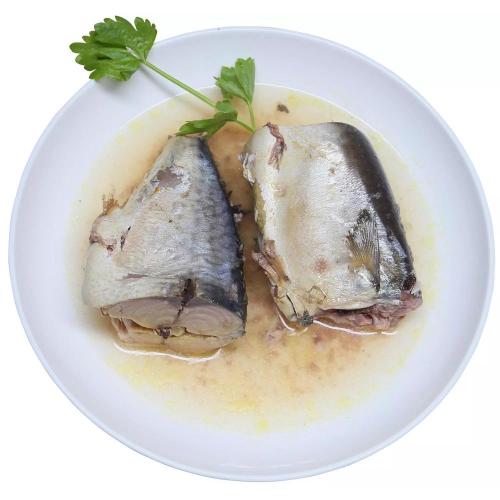 Hot Sell Best Canned Mackerel In Oil