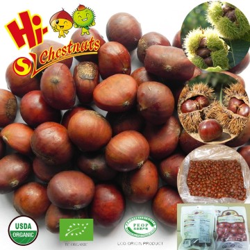 Frozen organic roasted chestnuts for sale