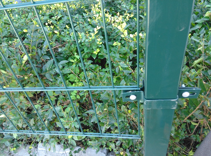 Prestige Wire Mesh Fence