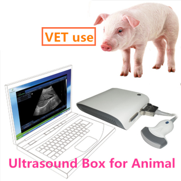 VET Ultrasound BOX Scanner