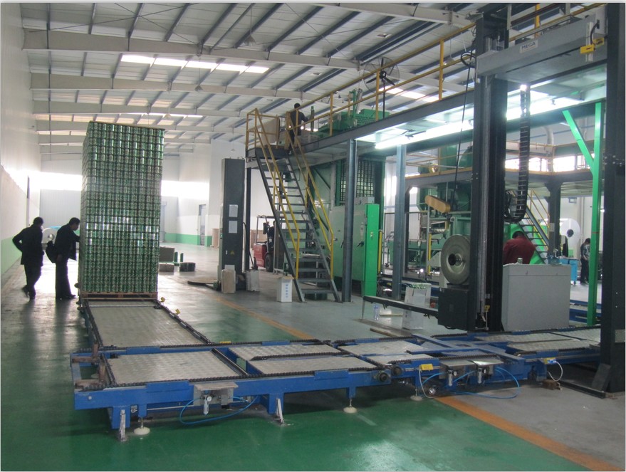 Customized Chain Conveyor Machine