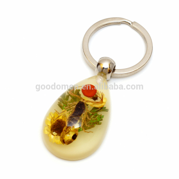 Acrylic Real Insect Key Chains from Factory direct sale