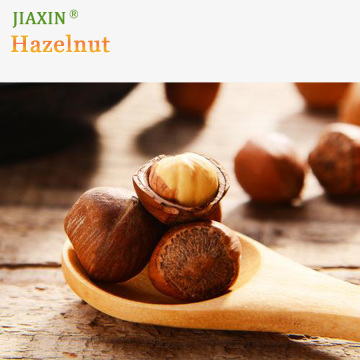 Tieling Hazelnut High Grade Filbert Nuts for Snacks