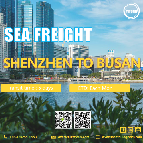 International Sea Freight from Shenzhen to Busan South Korea