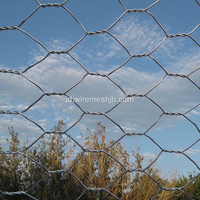 Hot dicelup Galvanized Chicken Wire Mesh