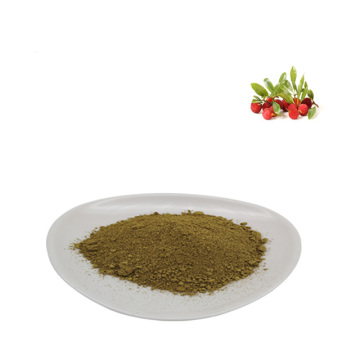 Bayberry bark Extract --Myricetin  98%