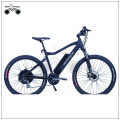 EBIKE COMPANY E-BIKE ELÉTRICA DO HUB TRASEIRO DO MOTOR DE ENGRENAGEM SEM ENGRENAGEM DA EBIKE