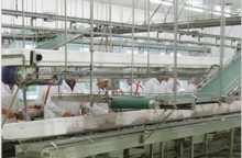 Habasit HabaGUARD antimicrobial belts