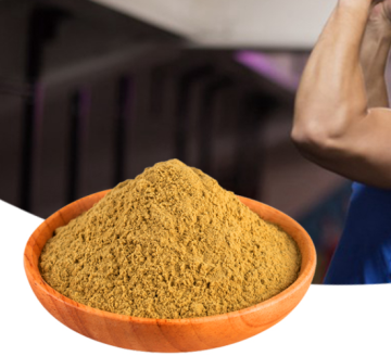 Organic Shell broken Ganoderma Lucidum Lingzhi Reishi