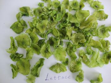 factory direct sale dehydrated lettuce