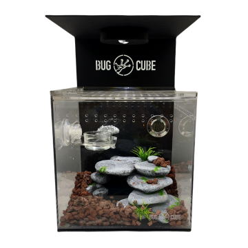 Caixa de criação de acrílico de tamanho personalizável para répteis