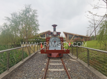 cheap Outdoor Tourist Train