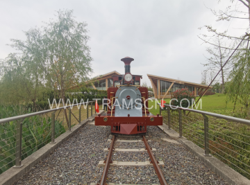 wholesale Outdoor Tourist Train