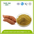 Yacon Extract Yacon Powder