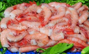 frozen HLSO red shrimp