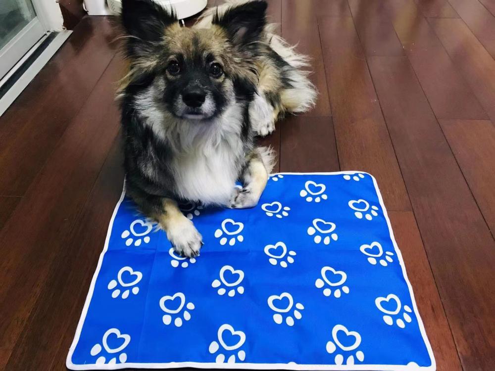 Pet Cooling Mat Back Jpg