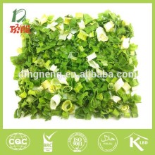dehydrated chive roll 8x8 5x5 base plant